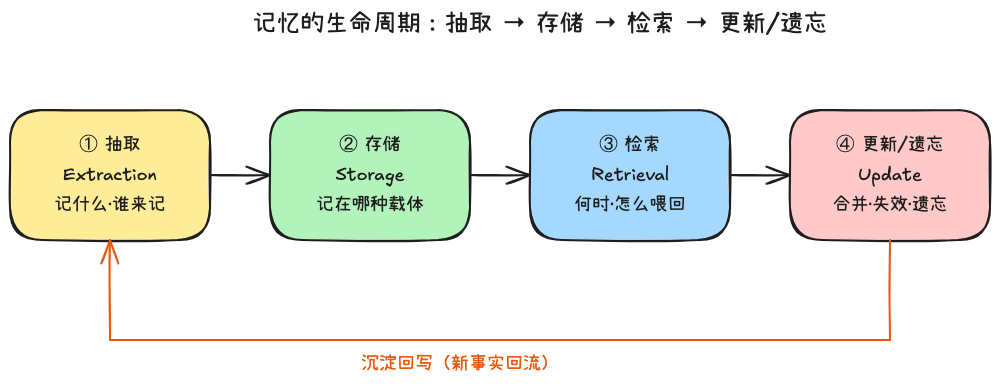 记忆的生命周期四环:抽取 → 存储 → 检索 → 更新/遗忘,第四环产出的新事实回流到第一环